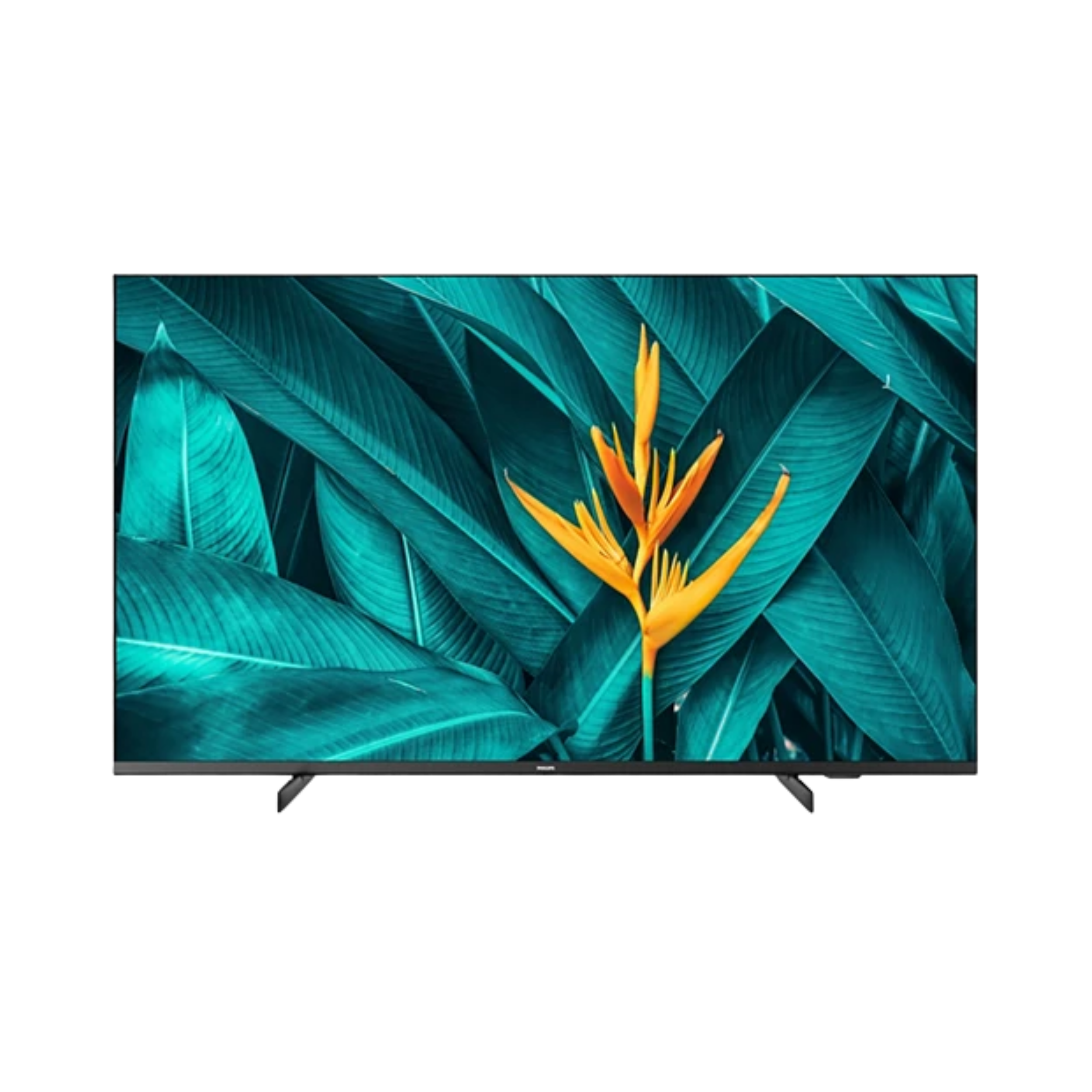 Monitor TV Hotel